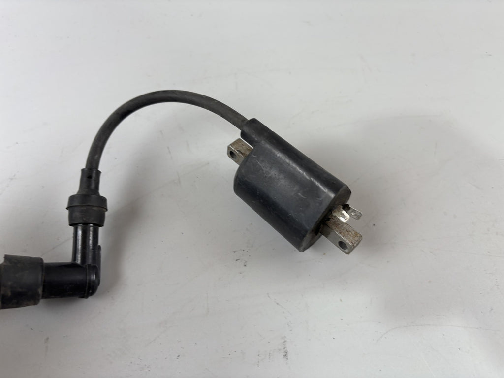 Yamaha Majesty 250 Zündspule Zündstecker Zündung Ignition