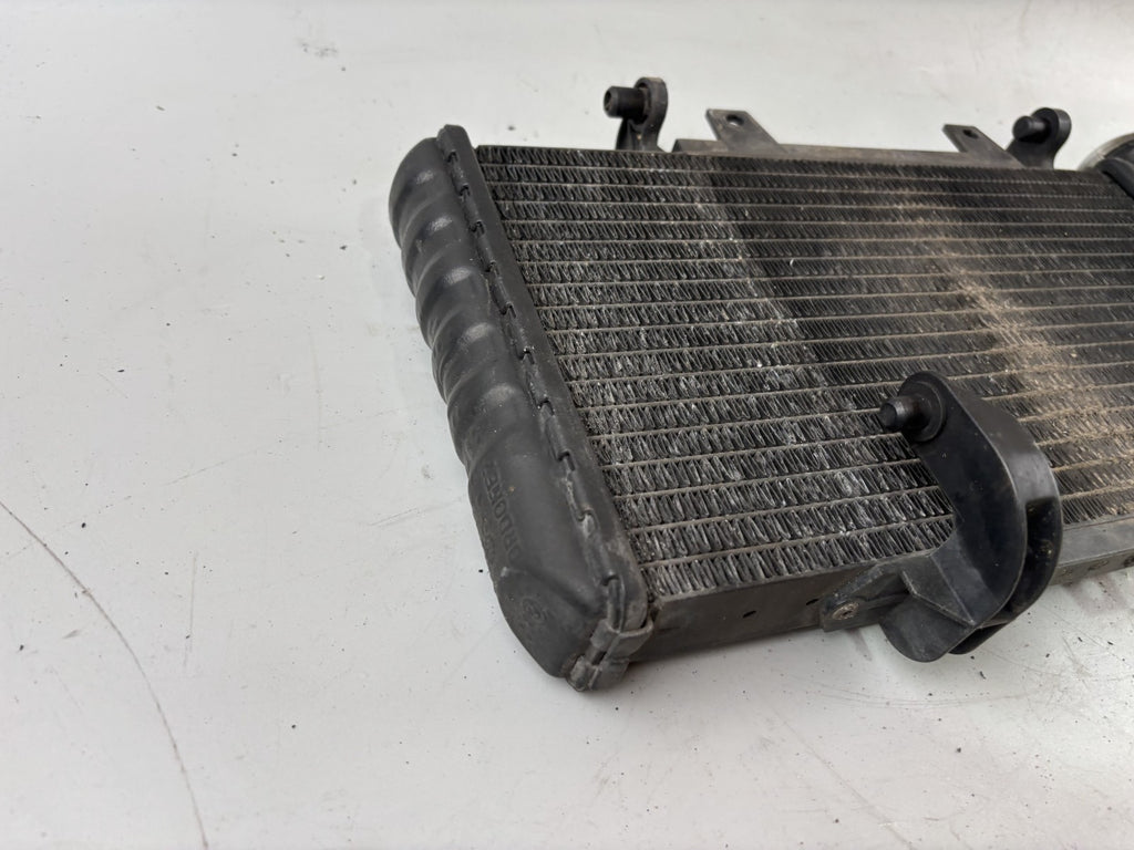 BMW F800 S Wasserkühler Watercooler Liquid Engine Motor Kühlung