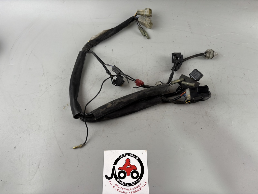 Yamaha FZS600 Fazer RJ02 Kabelbaum Cable Electric Stecker vorne front