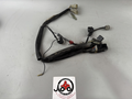 Yamaha FZS600 Fazer RJ02 Kabelbaum Cable Electric Stecker vorne front