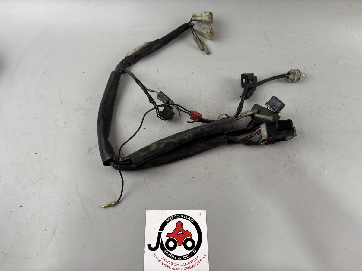 Yamaha FZS600 Fazer RJ02 Kabelbaum Cable Electric Stecker vorne front