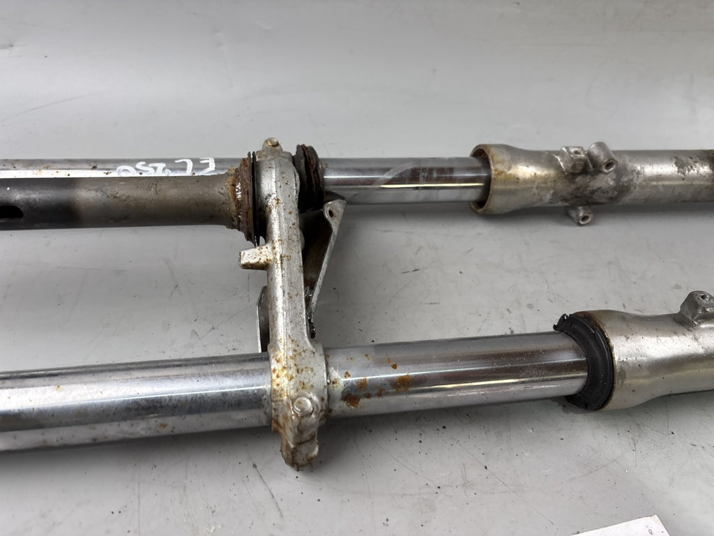 Kawasaki EL250 252 Eliminator Gabel Standrohr Tauchrohr Fork Absorber Federung