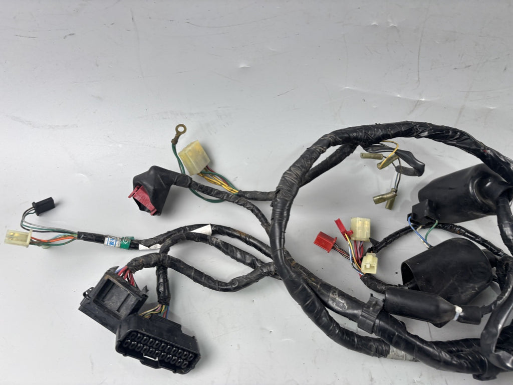 Honda CB 600 F Hornet PC34 Kabelbaum Cable Stecker Kabelstrang