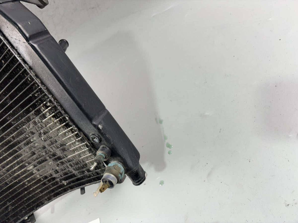 Yamaha YZF 1000 R Thunderace Wasserkühler Water Cooler Kühlung Motor Engine
