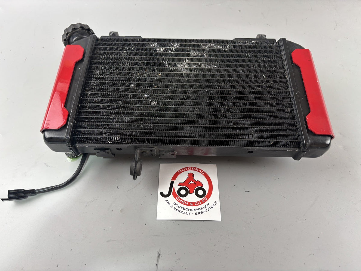 Suzuki SV650 N AV Wasserkühler Cooler Watercooler Liquid Motor Engine