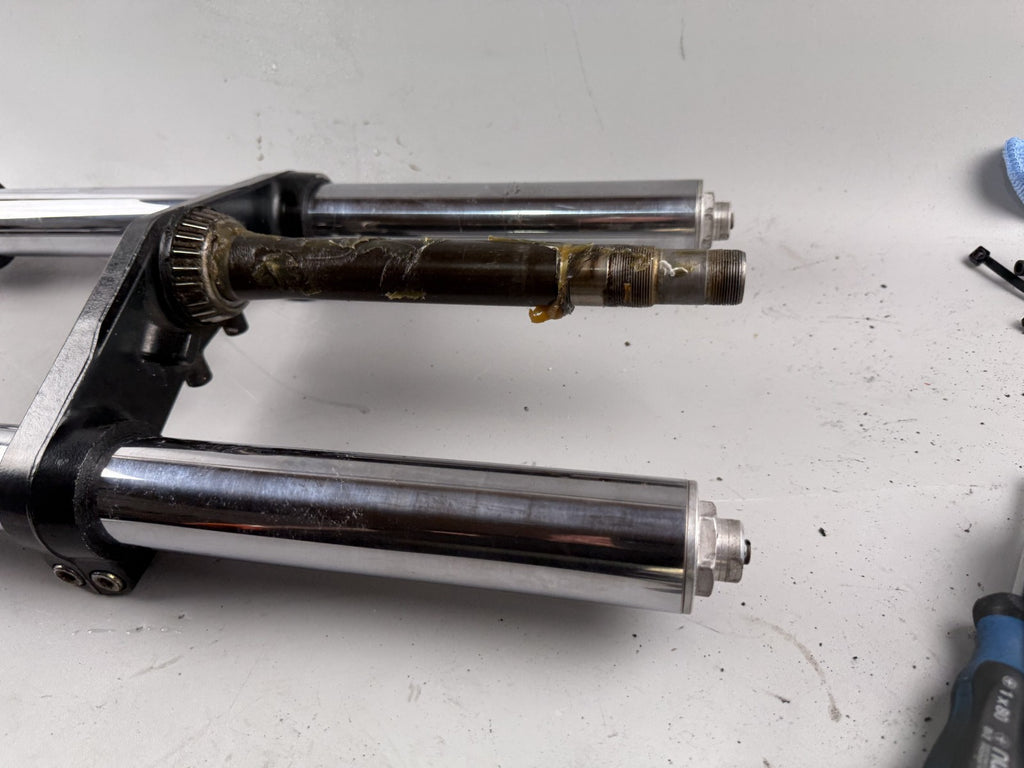 Triumph Speed Triple 900 T300B Gabel Standrohr Tauchrohr Federung Fork Absorber