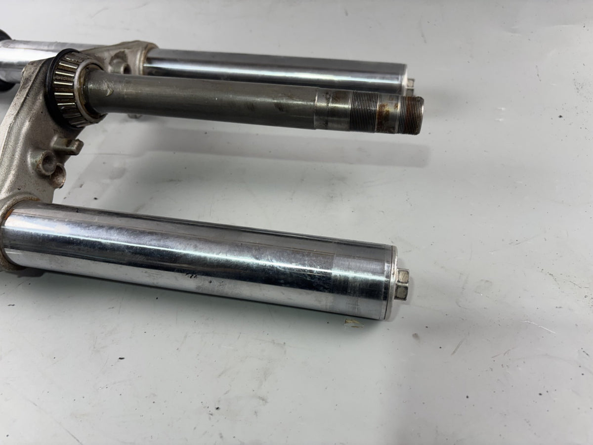 Honda CB 600 F Hornet PC34 Gabel Standrohr Tauchrohr Fork Absorber Shoks
