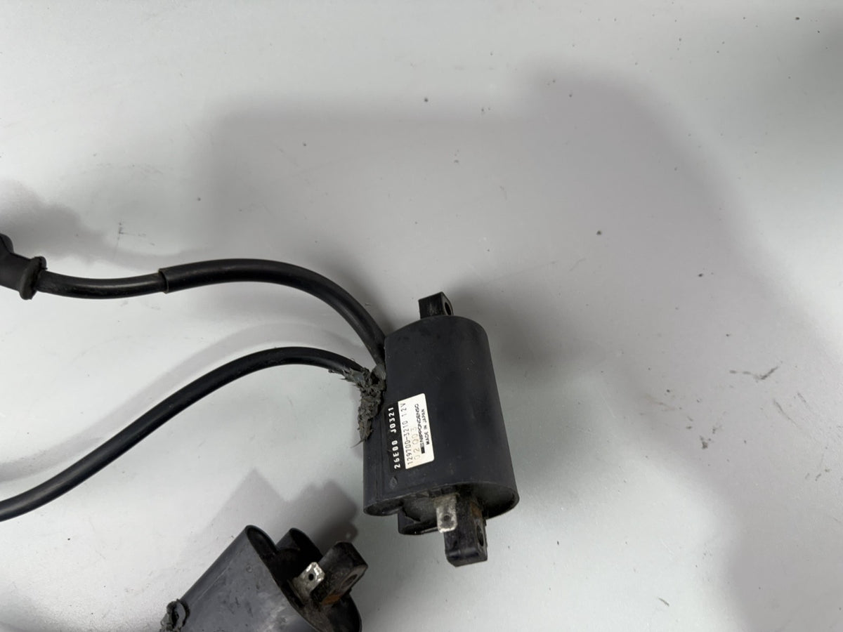 Suzuki GSF600 GN77B Bandit Zündspulen Zündspule Zündkabel Zündstecker Ignition