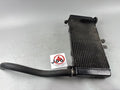 Honda CBF 600 S PC38 Kühler Wasserkühler Watercooler Liquid Water Kühlung