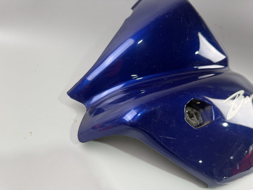 Suzuki GSF 600 Bandit POP WVA8 Seitenverkleidung Seitenteil Sidecover Kanzel li
