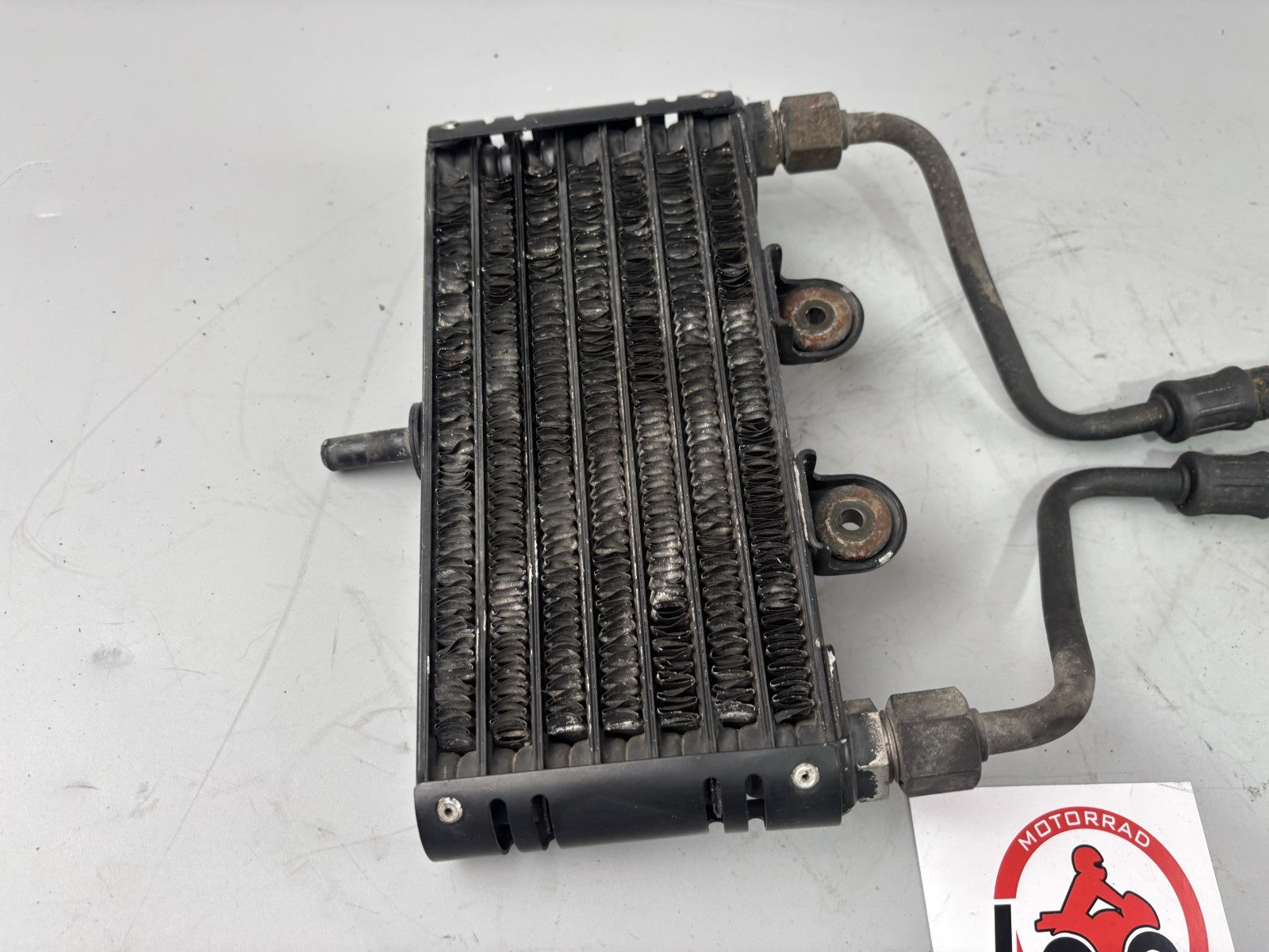 Yamaha XJ900 F 4BB Ölkühler Oelcooler Liquid Motor Kühlung