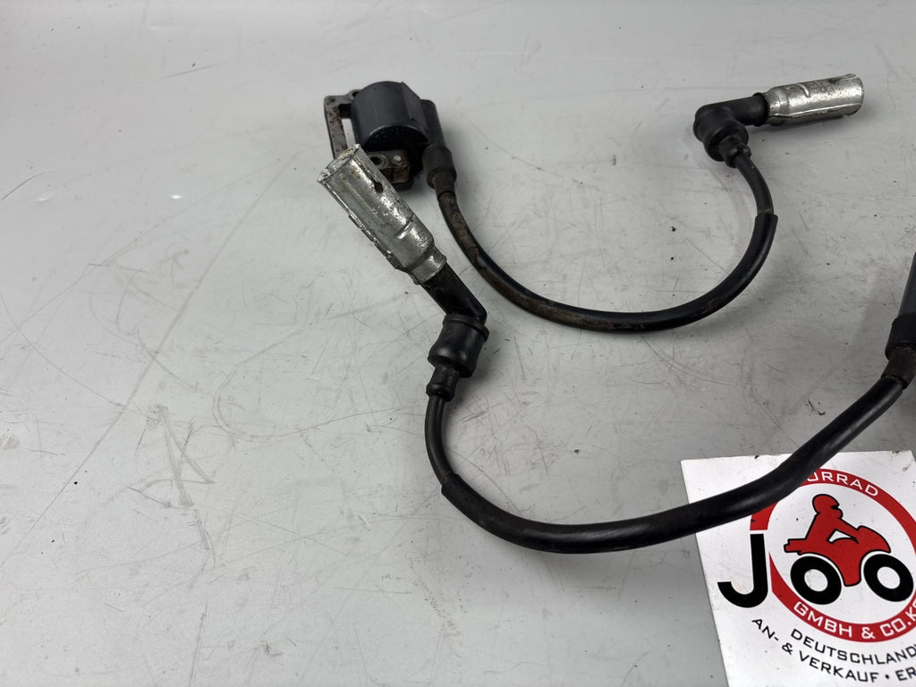 BMW F650 169 Zündspulen Zündstecker Ignition Zündkabel Electric