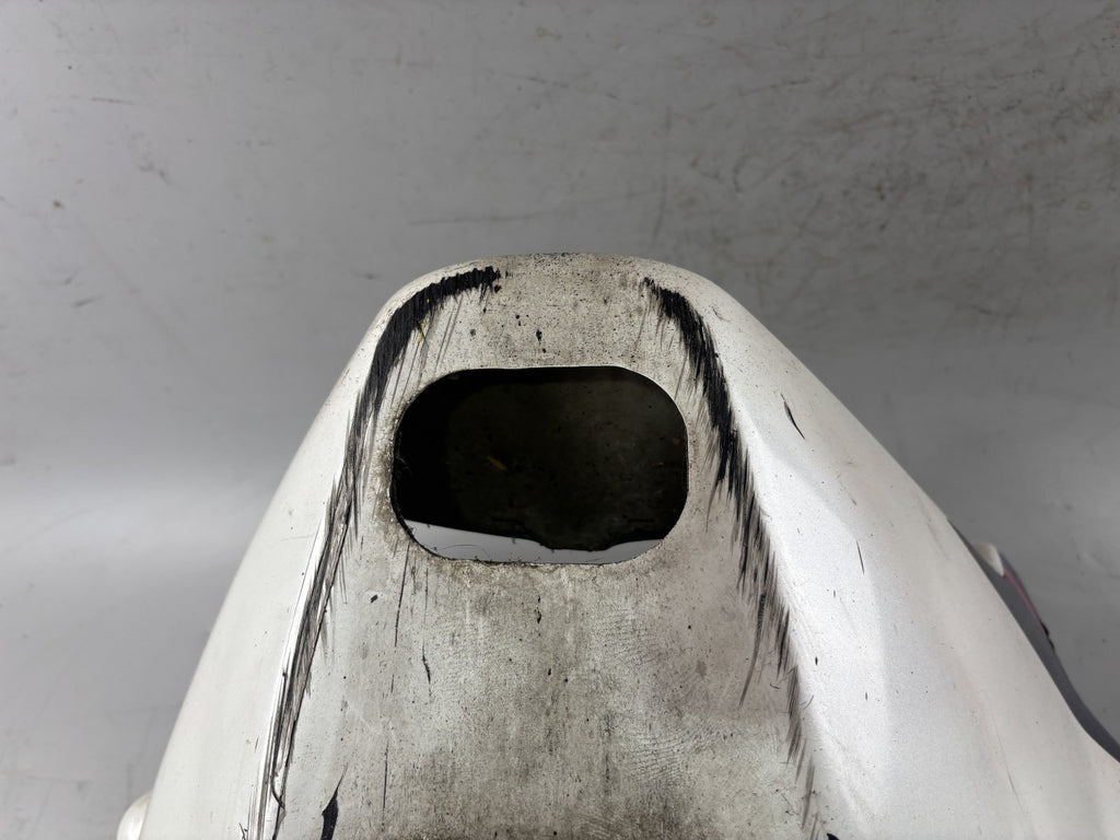 Yamaha FJ1200 3CW 3YA Bug Bugspoiler Verkleidung Cover Abdeckung Motor Engine
