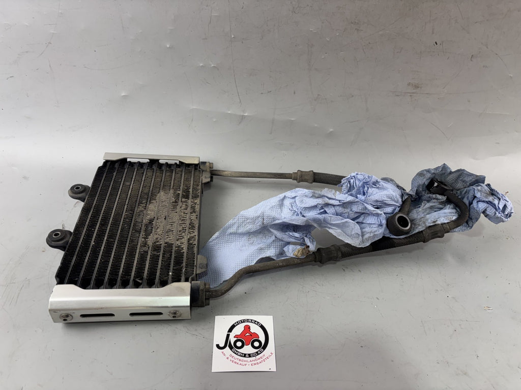 Suzuki GSX 750 AE Inazuma Ölkühler Oilcooler Liquid Kühlung Motor Engine