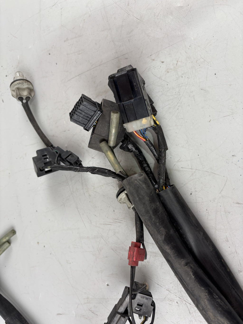 Yamaha FZS600 Fazer RJ02 Kabelbaum Cable Electric Stecker vorne front