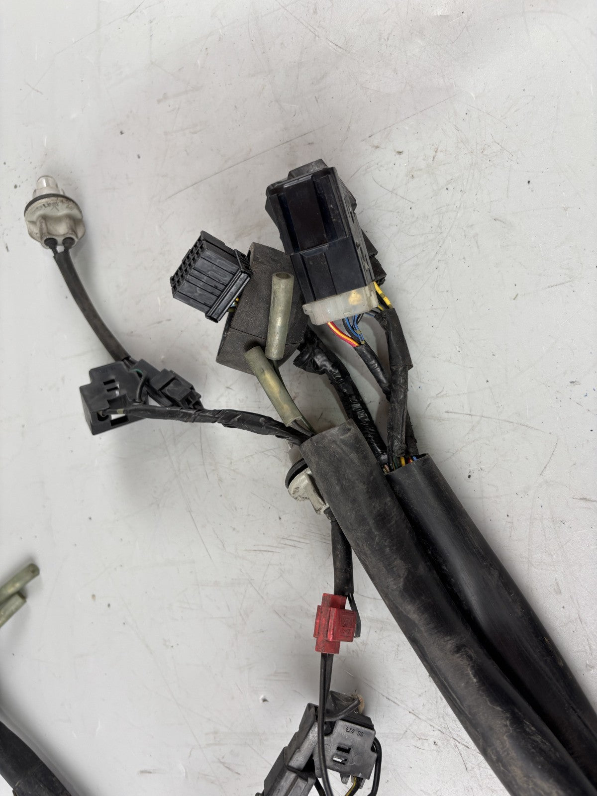 Yamaha FZS600 Fazer RJ02 Kabelbaum Cable Electric Stecker vorne front