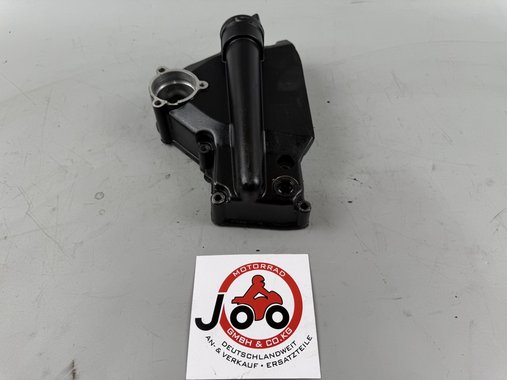 Triumph Daytona 1200 T300D Ritzelabdeckung Motordeckel Cover Abdeckung