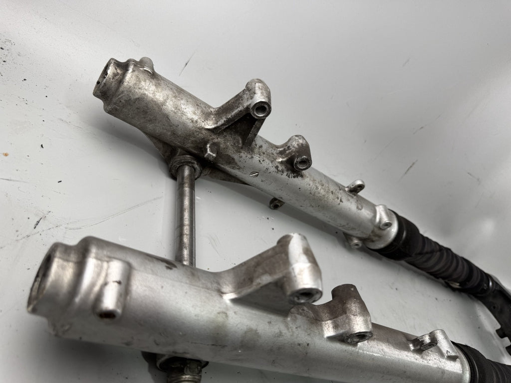 Triumph Tiger 900 T400 Gabel Standrohr Tauchrohr Fork Absorber Absorber Federung