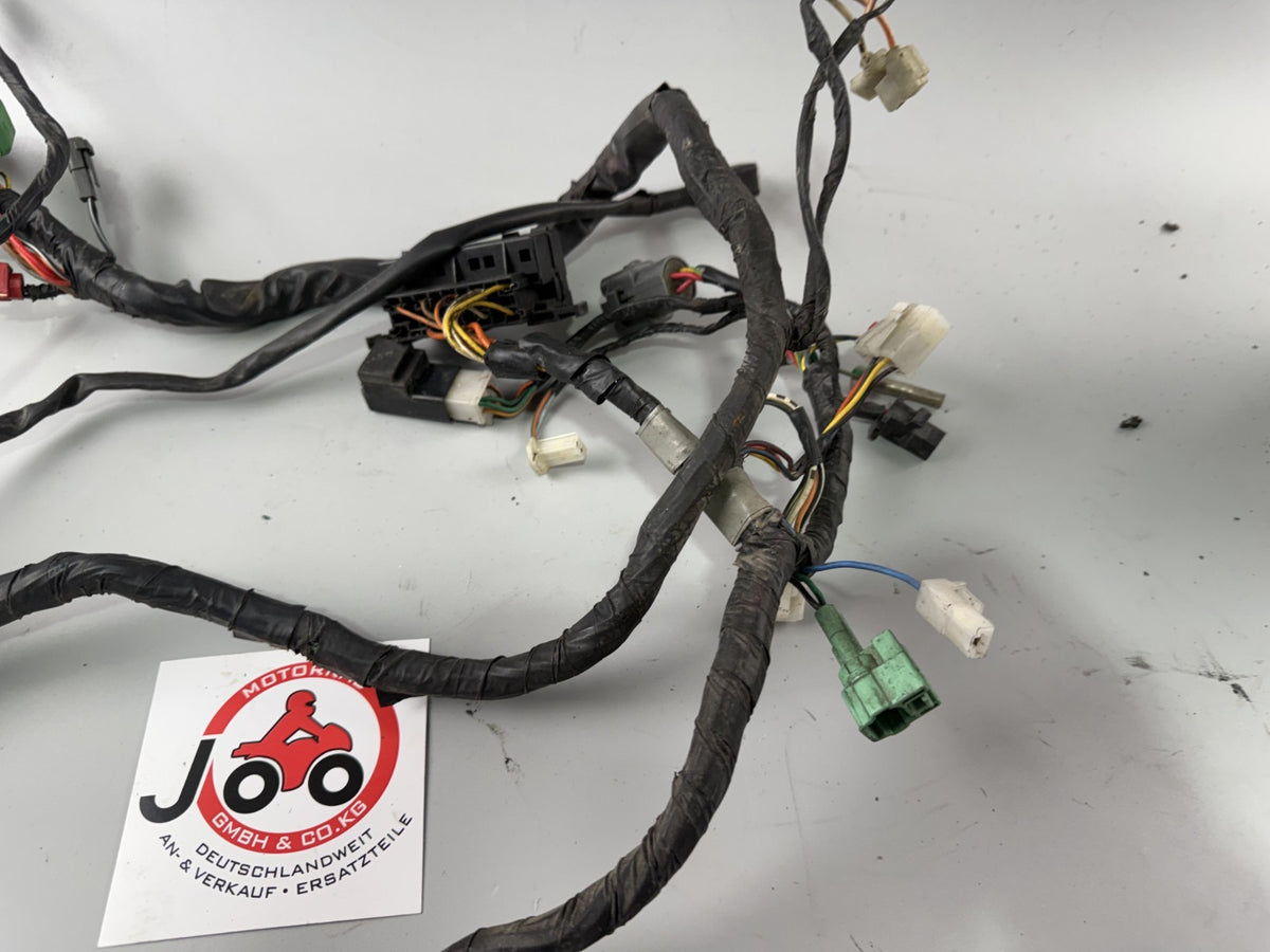 Suzuki GSF600 GN77B Bandit Kabelbaum Cable Stecker Kabelstrang