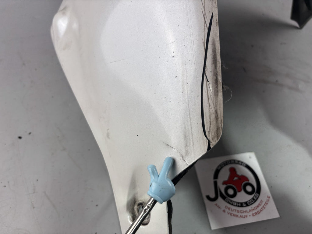 Yamaha FJ1200 3CW 3YA Bug Bugspoiler Verkleidung Cover Abdeckung Motor Engine