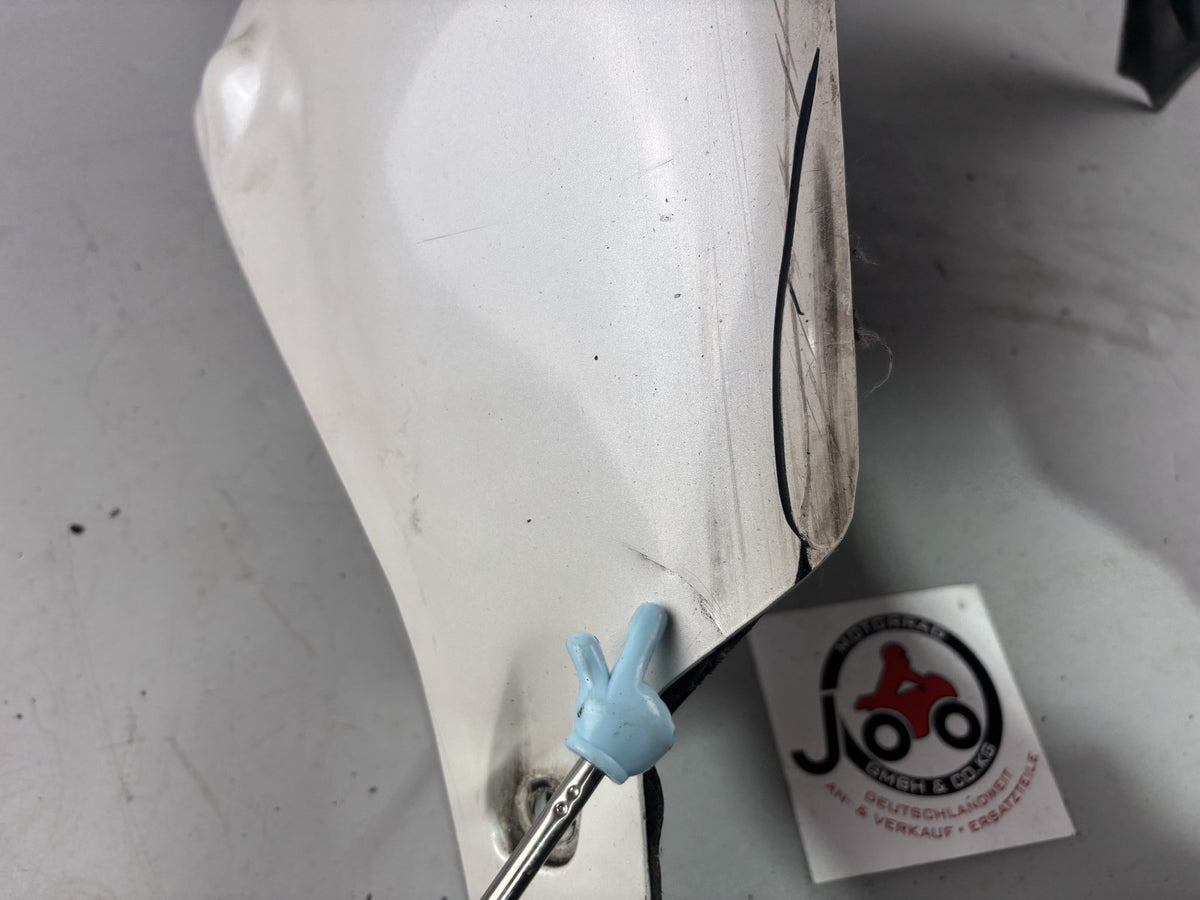 Yamaha FJ1200 3CW 3YA Bug Bugspoiler Verkleidung Cover Abdeckung Motor Engine