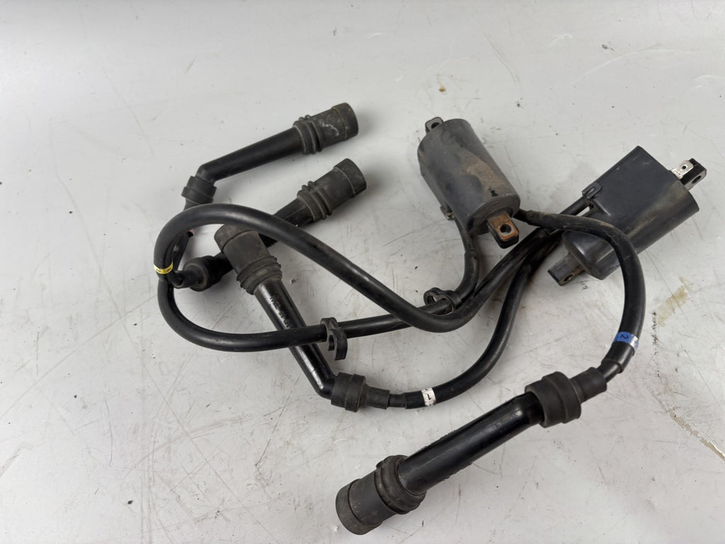 Yamaha FZS600 Fazer RJ02 Zündspule Zündstecker Zündkabel Ignition