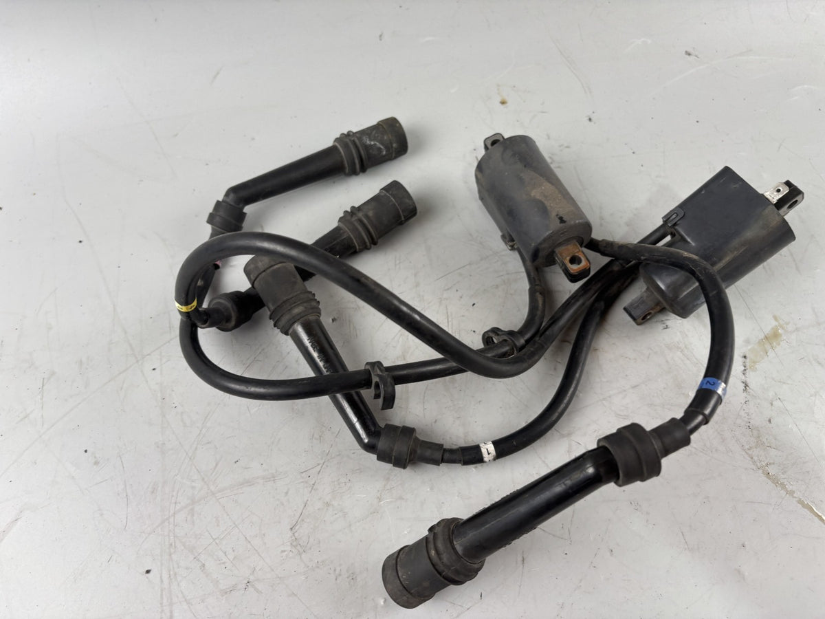 Yamaha FZS600 Fazer RJ02 Zündspule Zündstecker Zündkabel Ignition