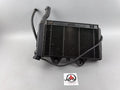 Triumph Daytona 1200 T300D Wasserkühler Cooler Liquid Watercooler Motor Engine