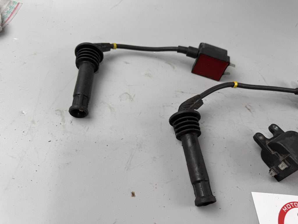 Triumph Speed Triple 900 T300B Zündspule Zündstecker Zündkabel Ignition