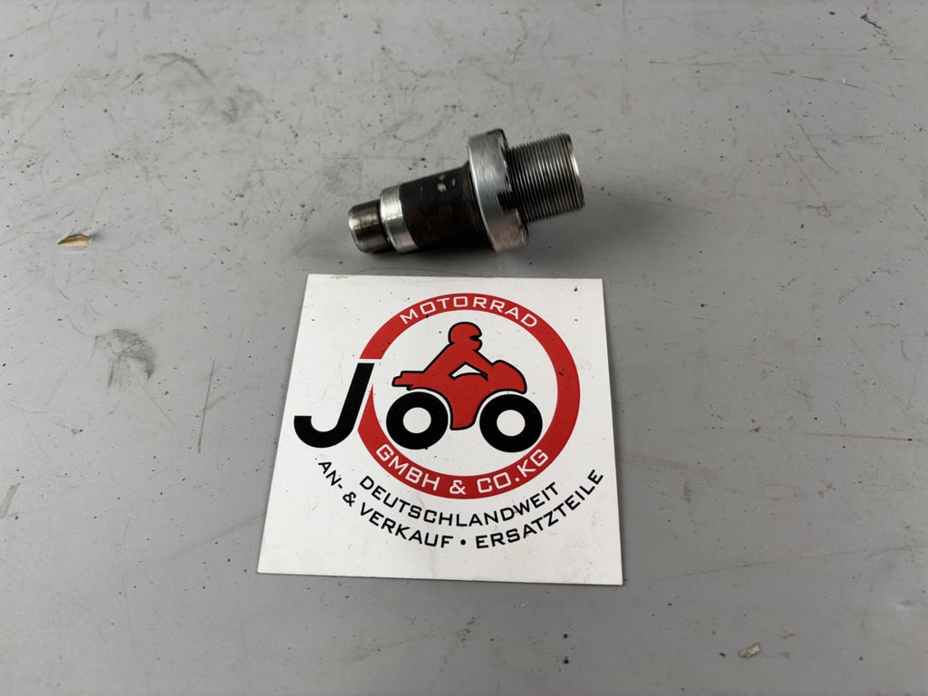 Honda CBX 650 E RC13 Schraube Schwinge Achse Bolzen Justierschraube
