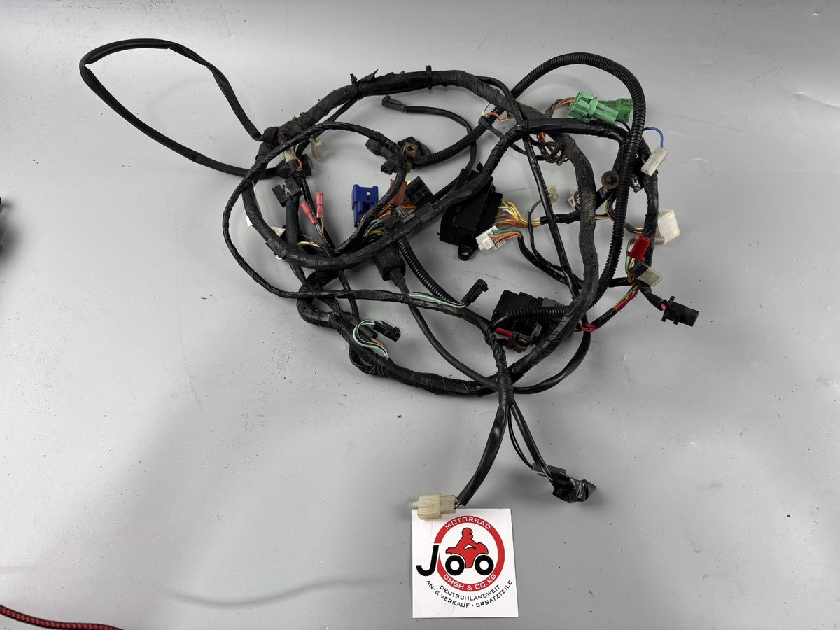 Suzuki GSF600 GN77B Kabelbaum Kabelstrang Cable Electric Stecker