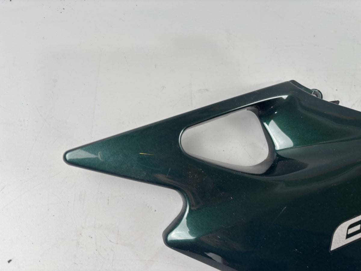 Kawasaki ER 5 EX500A Seitendeckel Sidecover Seitenteil Verkleidung links left