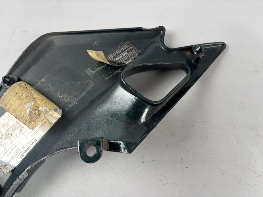 Kawasaki ER 5 EX500A Seitendeckel Sidecover Seitenteil Verkleidung rechts right