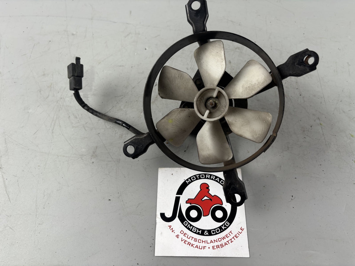 Kawasaki EL250 252 Eliminator Lüfter Ventilator Lüftung Cooler Kühler