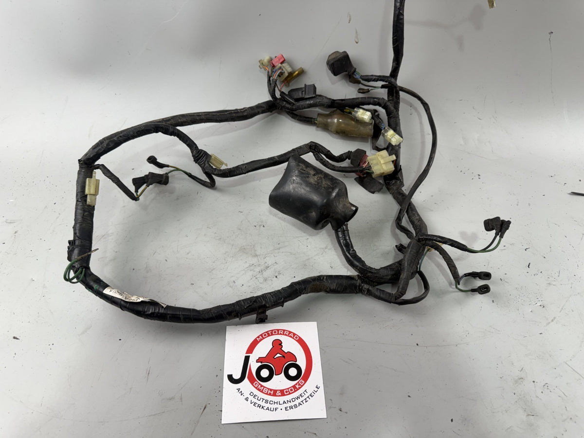 Honda XL600 R Transalp PD 06 Kabelbaum Kabelstrang Cable Stecker Electric