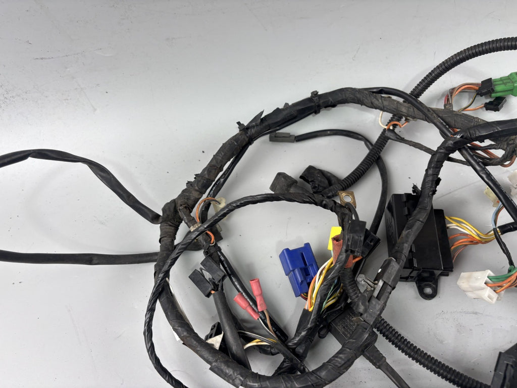 Suzuki GSF600 GN77B Kabelbaum Kabelstrang Cable Electric Stecker