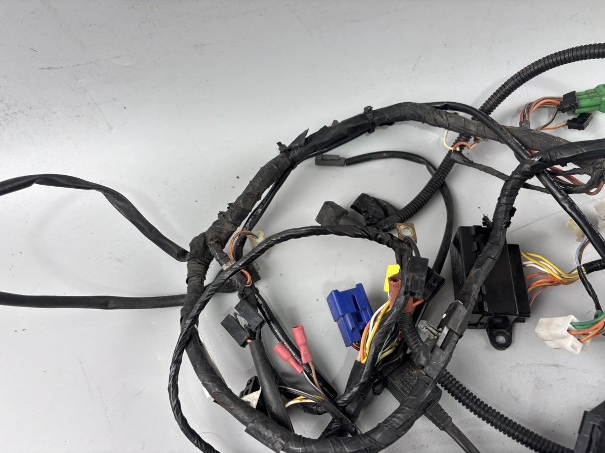 Suzuki GSF600 GN77B Kabelbaum Kabelstrang Cable Electric Stecker