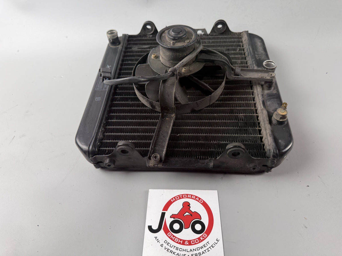 Kawasaki ZL600 Eliminator Wasserkühler Watercooler Liquid Kühlung