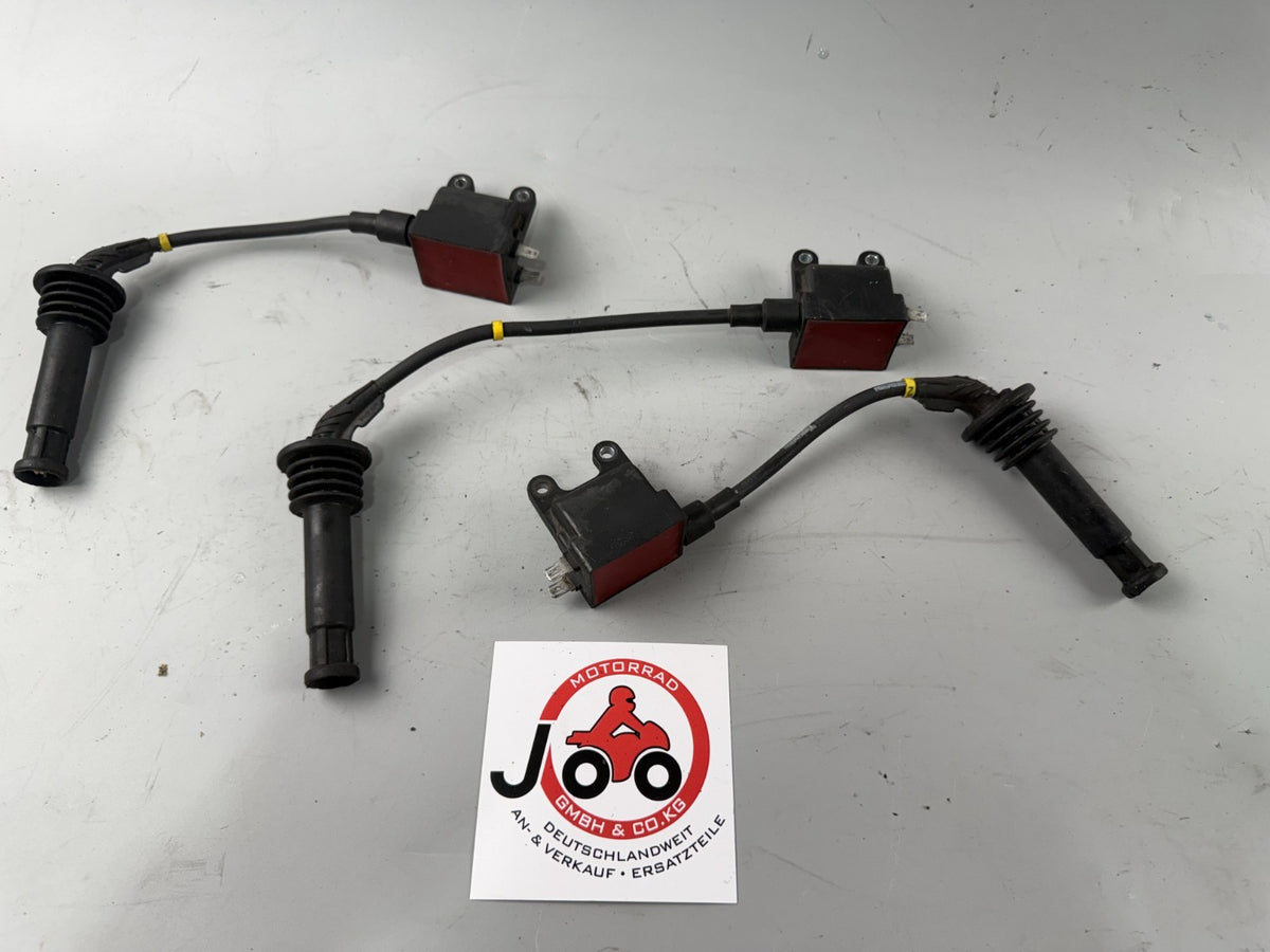 Triumph Speed Triple 900 T300B Zündspule Zündstecker Zündkabel Ignition