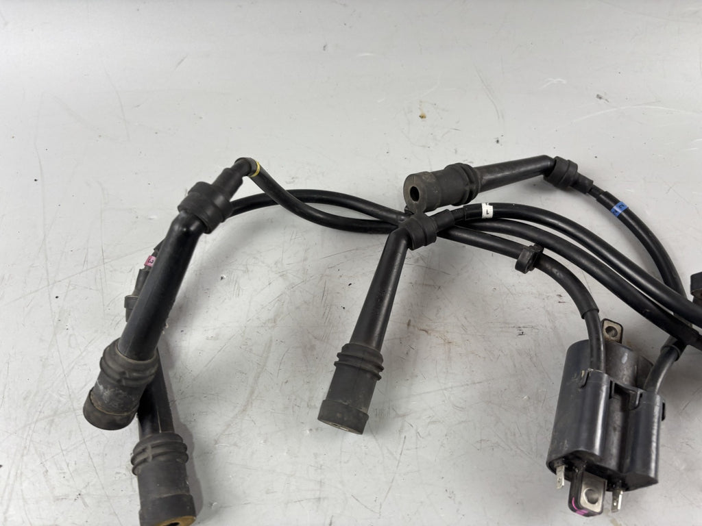 Yamaha FZS600 Fazer RJ02 Zündspule Zündstecker Zündkabel Ignition
