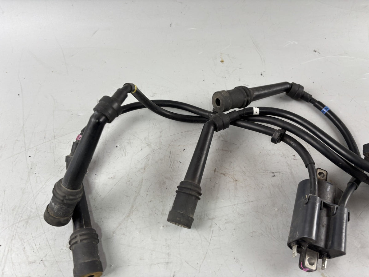Yamaha FZS600 Fazer RJ02 Zündspule Zündstecker Zündkabel Ignition