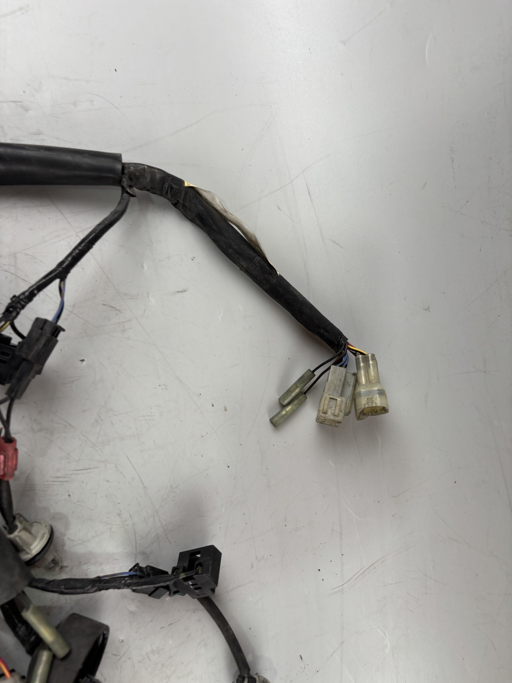 Yamaha FZS600 Fazer RJ02 Kabelbaum Cable Electric Stecker vorne front