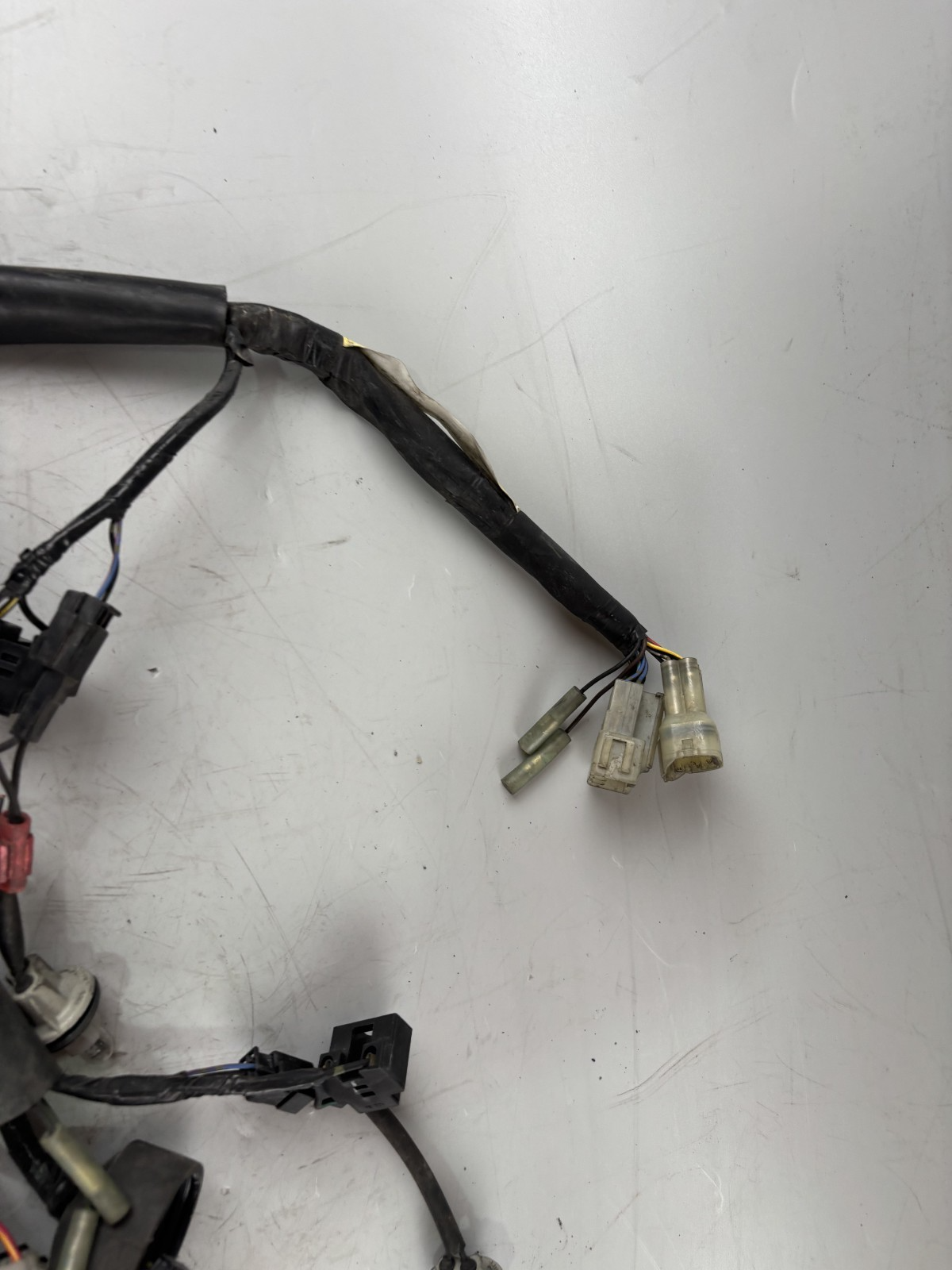 Yamaha FZS600 Fazer RJ02 Kabelbaum Cable Electric Stecker vorne front