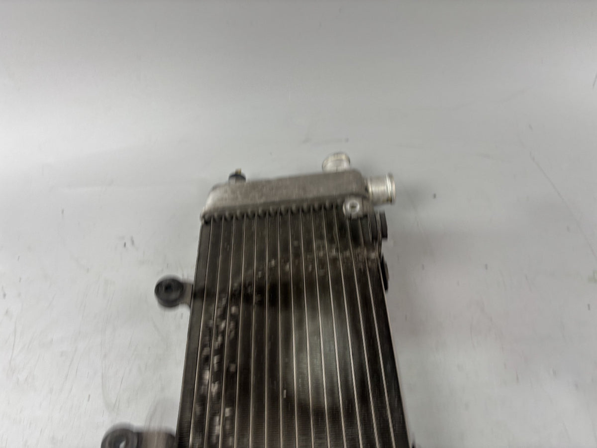 Honda VTR1000 F SC36 Firestorm Wasserkühler Watercooler Liquid Motor Kühlung