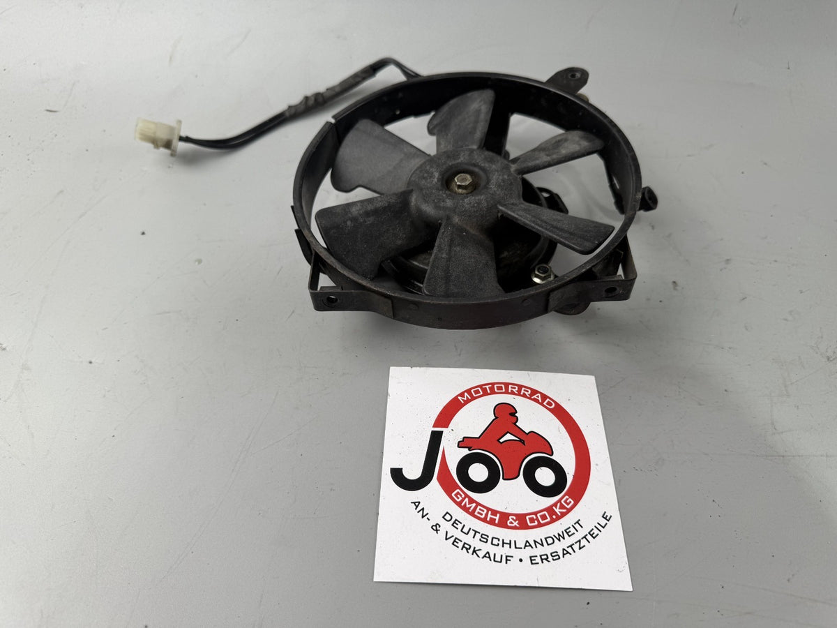 Honda XL600 R Transalp PD 06 Wasserkühler Watercooler Lüfter lüftung Ventilator