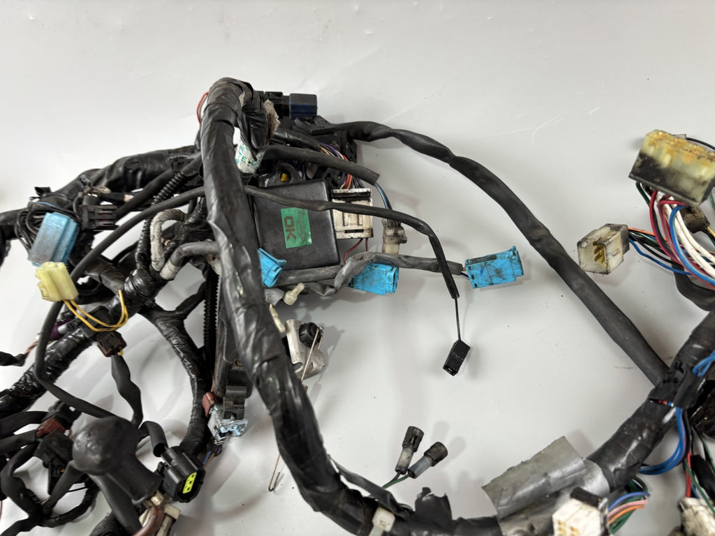 Triumph Daytona 955 T 595 Kabelbaum Cable Stecker Electric