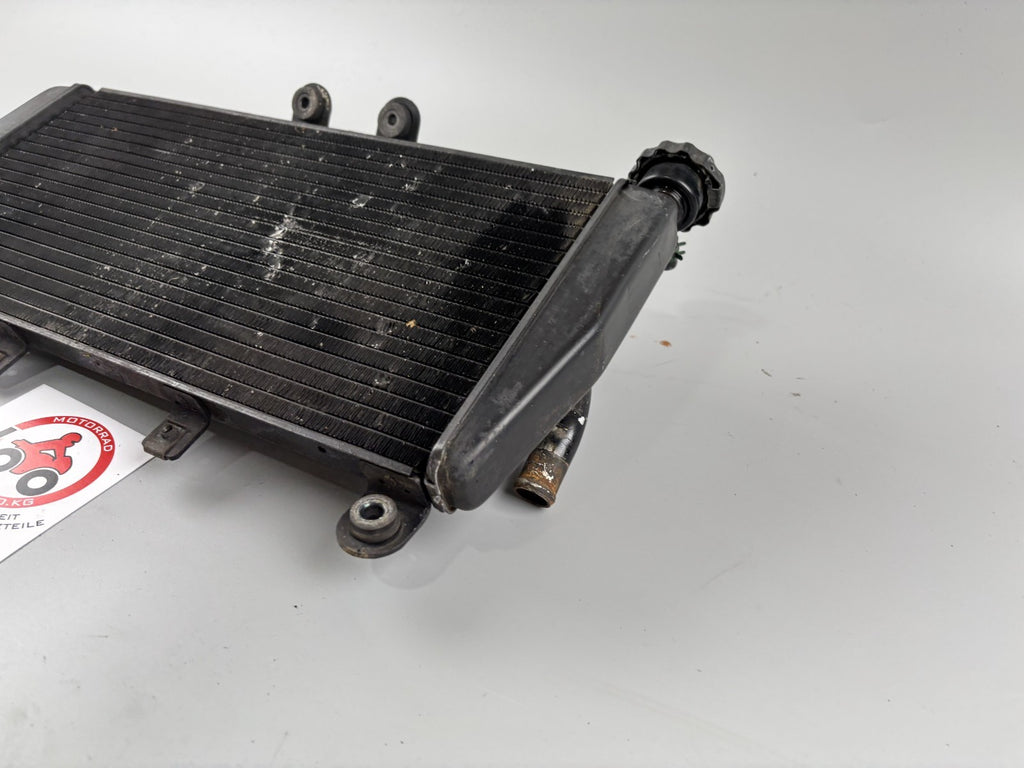 Triumph Daytona 955i T595 N 2002 Wasserkühler Watercooler Liquid Kühlung