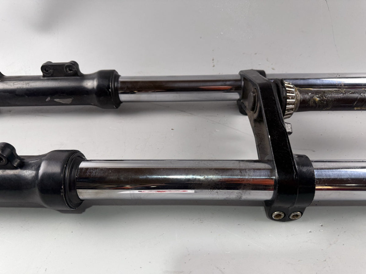 Triumph Speed Triple 900 T300B Gabel Standrohr Tauchrohr Federung Fork Absorber
