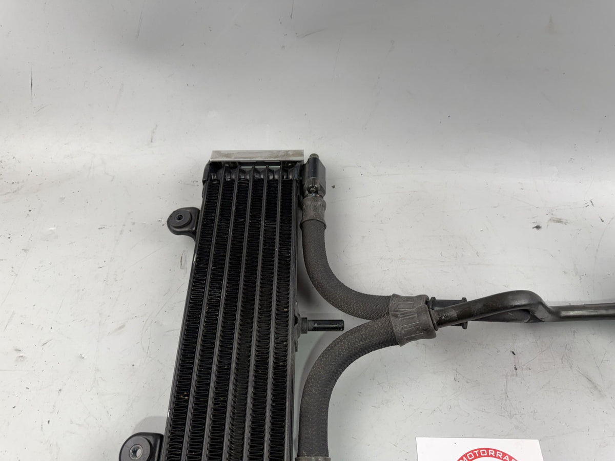 Yamaha XJR 1200 4PU Ölkühler Cooler Oel Engine Motor Cool Liquid