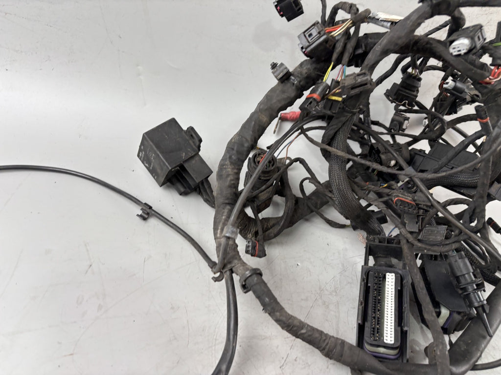 BMW F800 S Kabelbaum Kabelstrang Cable Stecker Electric